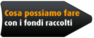 Cosa possiamo fare con i fondi raccolti