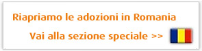 Leggi le altre news