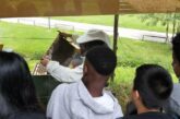 Fame di Mamma. Una settimana di libertà tra i monti: il dono di una vacanza che fa rinascere mamme e bambini