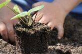 Piantiamo il futuro. Nasce il primo orto-giardino per i bambini delle comunità familiari di Ai.Bi. e AIBC