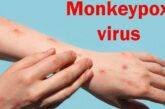 Vaiolo delle scimmie: pronta a partire la campagna vaccinale