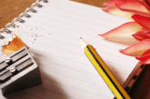 Adozione. Come può un tema in classe contribuire a cambiare la cultura dell'adozione?