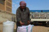 Siria: il riscatto germoglia dalla terra!