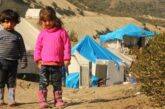 Siria. Al via un nuovo progetto a sostegno dei minori orfani di Harim