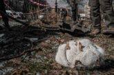 Ucraina. Bombardamento su Chernihiv: decine di morti e feriti, tra cui bambini