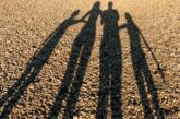 Sardegna. Un Affetto in Più al giro di boa: al via la Formazione per le Famiglie Affidatarie