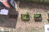 Fame di Mamma. Un tè alla menta per fare pace con sé stesse: un pomeriggio di ortoterapia alla Family House