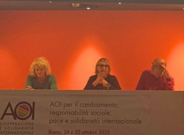 L'assemblea elettiva di AOI