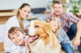 Meno figli, più animali domestici: cosa raccontano le famiglie italiane?