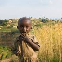 bambino congo
