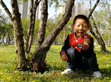 cina, l'emozione per i fiori della primavera a Xi'An, grazie al sostegno a distanza