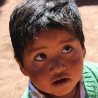 bimbo boliviano 1 200