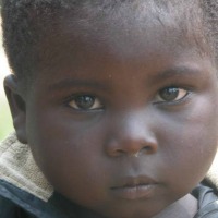 bimbo congolese