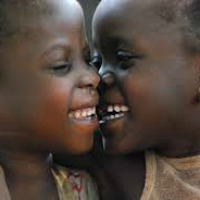 congo bimbi