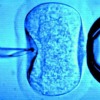detail-Test-tube