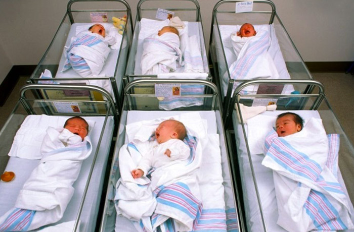 famiglia, la scelta per la vita che premia