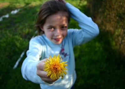 fiore