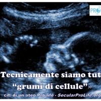 foto annarosa twitter200