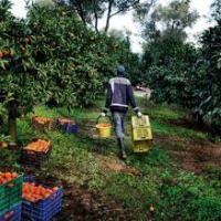 lavoratori