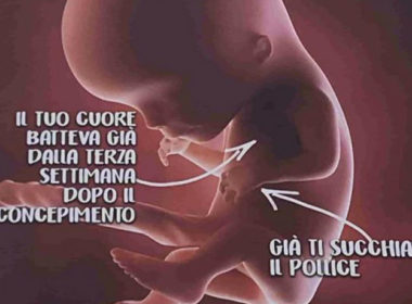 bambini, la rimozione del manifesto anti-aborto a Roma per Gandolfini è "censura del libero pensiero"