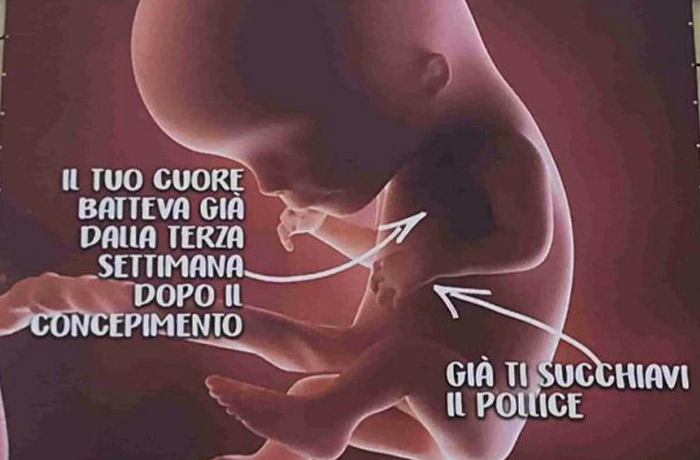 bambini, la rimozione del manifesto anti-aborto a Roma per Gandolfini è "censura del libero pensiero"
