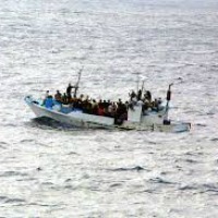migranti