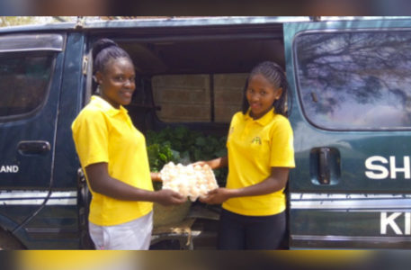 kenya, la fattoria del Centro per gli orfani a Kibiko