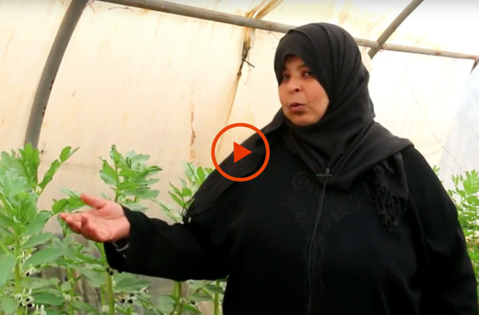 siria, il video-racconto di alcuni profughi beneficiati dal progetto di Ai.Bi.
