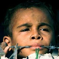 siria_bambino_ filo spinato 200