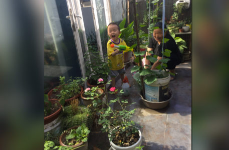cina. Le piante sul balcone della Casa di Accoglienza con Jing sono tutte al sicuro...o no?