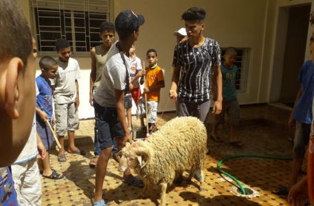 Marocco. La festa dell'Aid tra chiacchiere, scherzi, preghiere e spiedini di montone